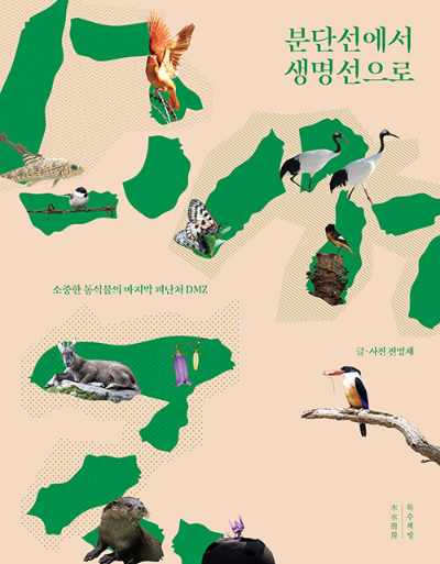 카지노 게임 추천