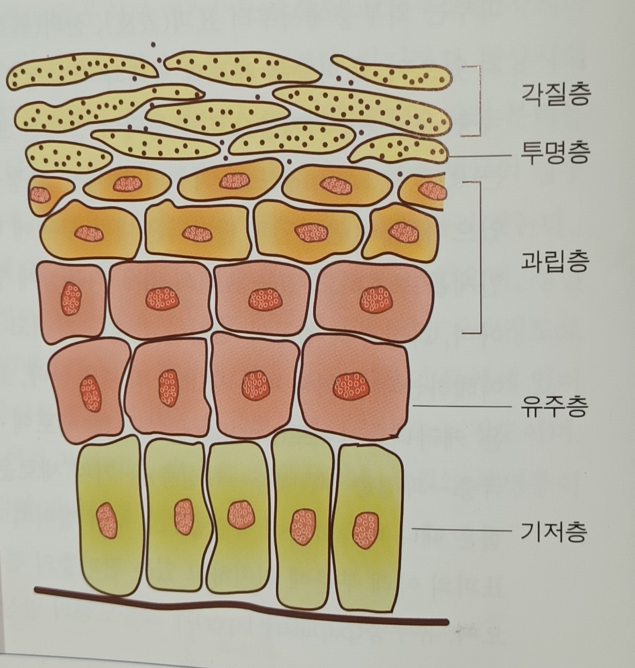 06화 안녕하십니까 당신의 모발