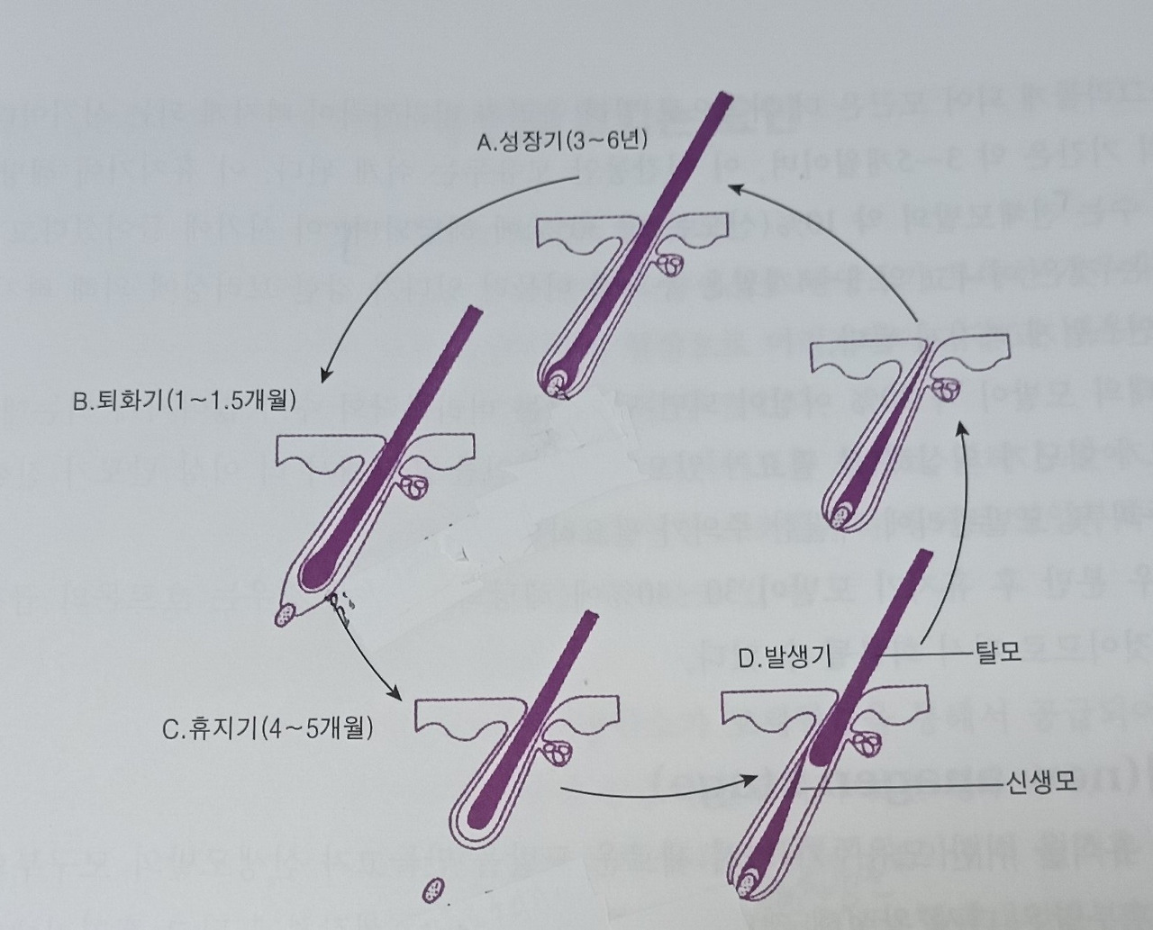 lifestyler air cycle