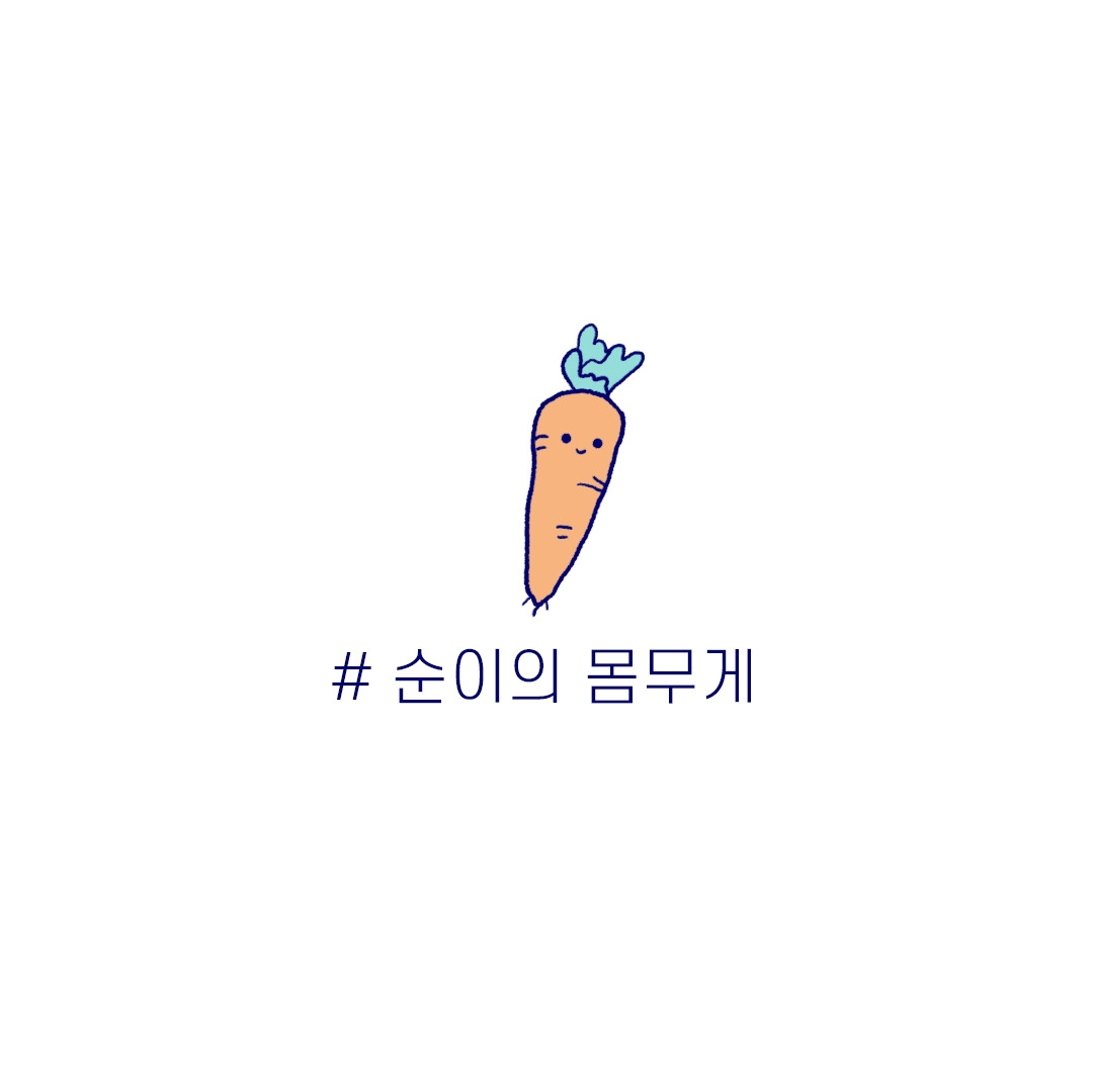 #순이의 몸무게  #순이의 동지