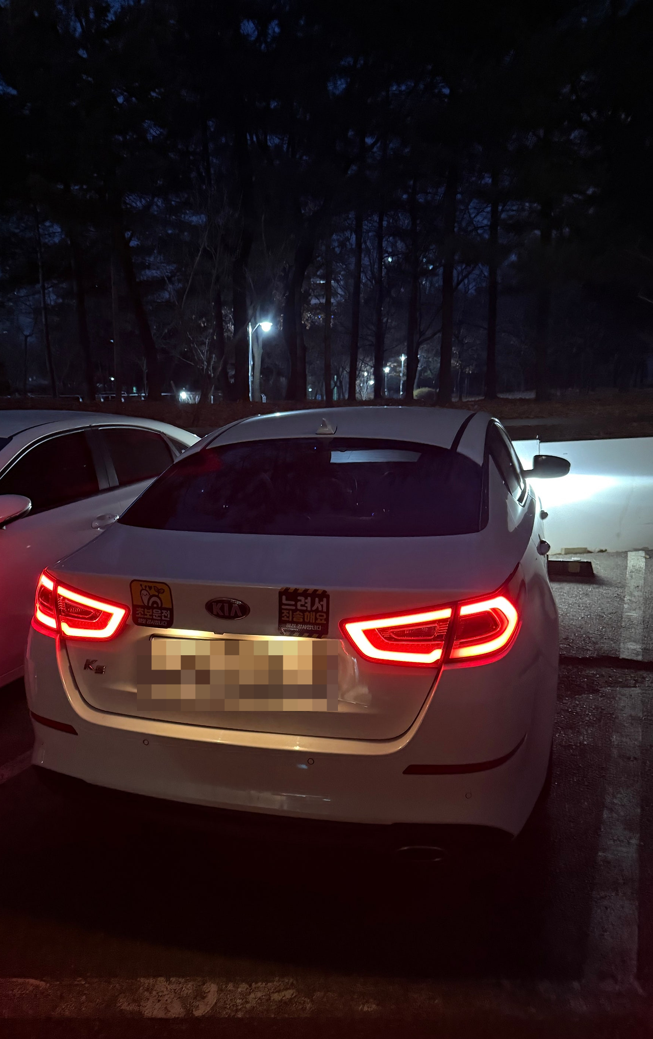 카지노 게임 추천