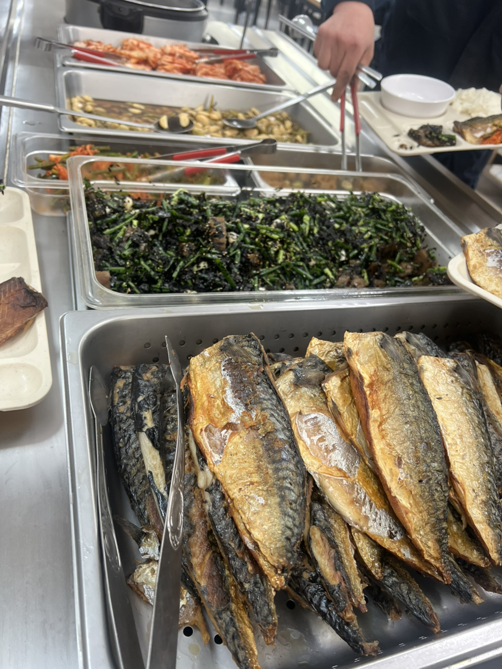 카지노 게임 사이트