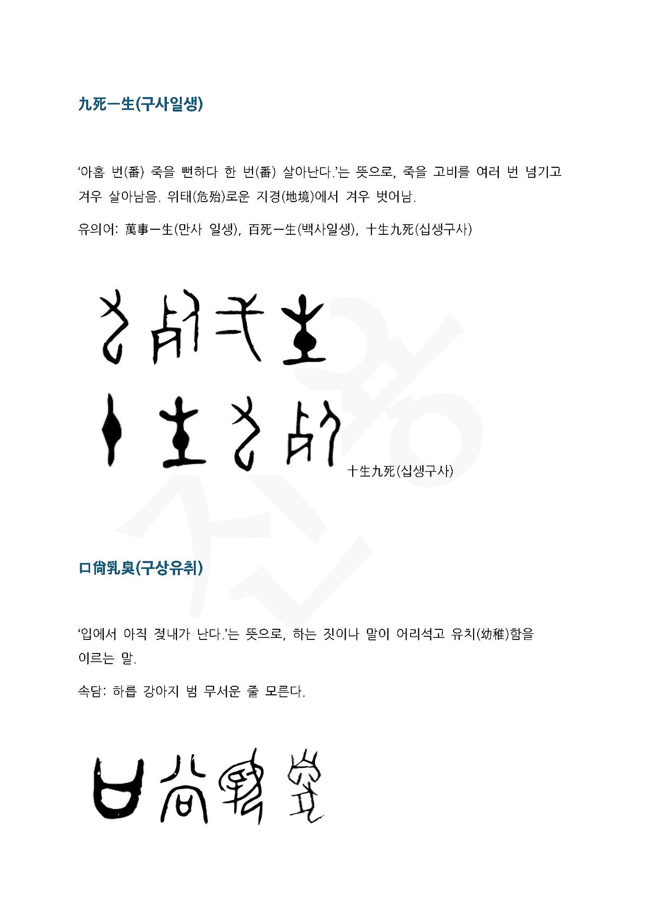 카지노 게임 사이트