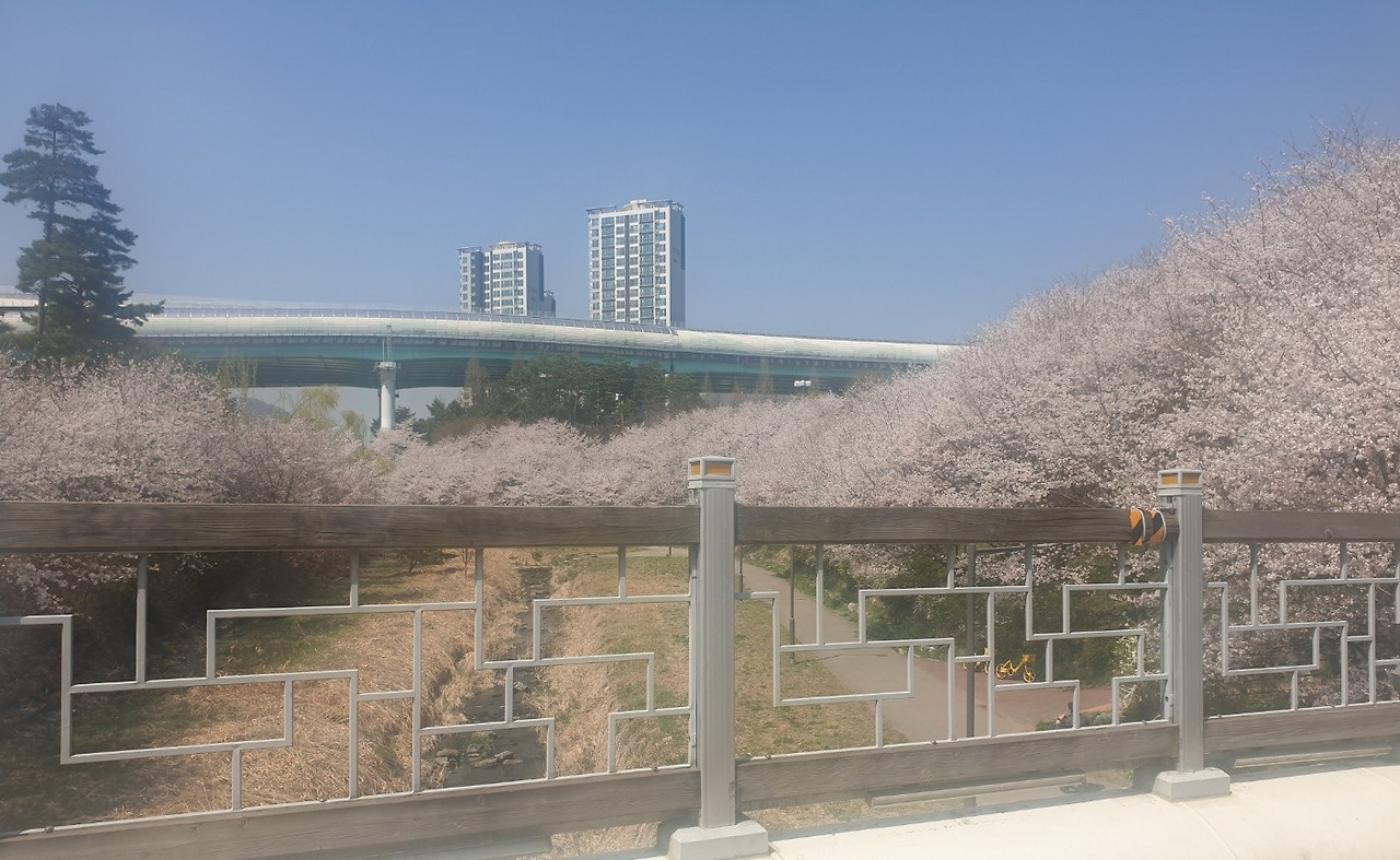 카지노 게임 추천