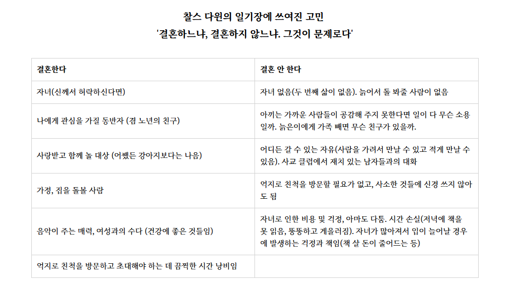카지노 게임
