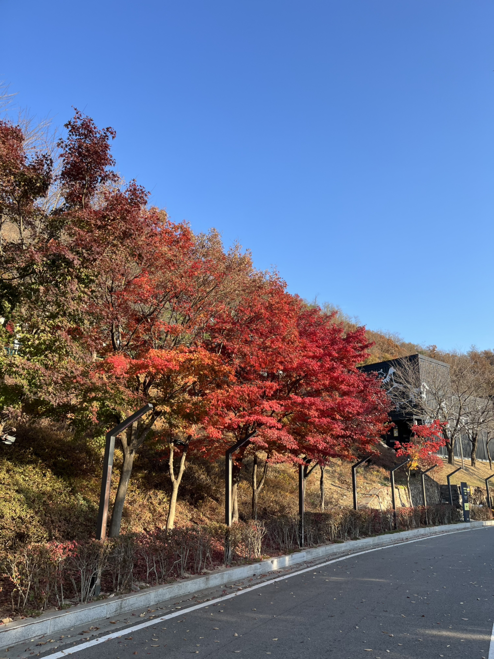 카지노 게임 사이트