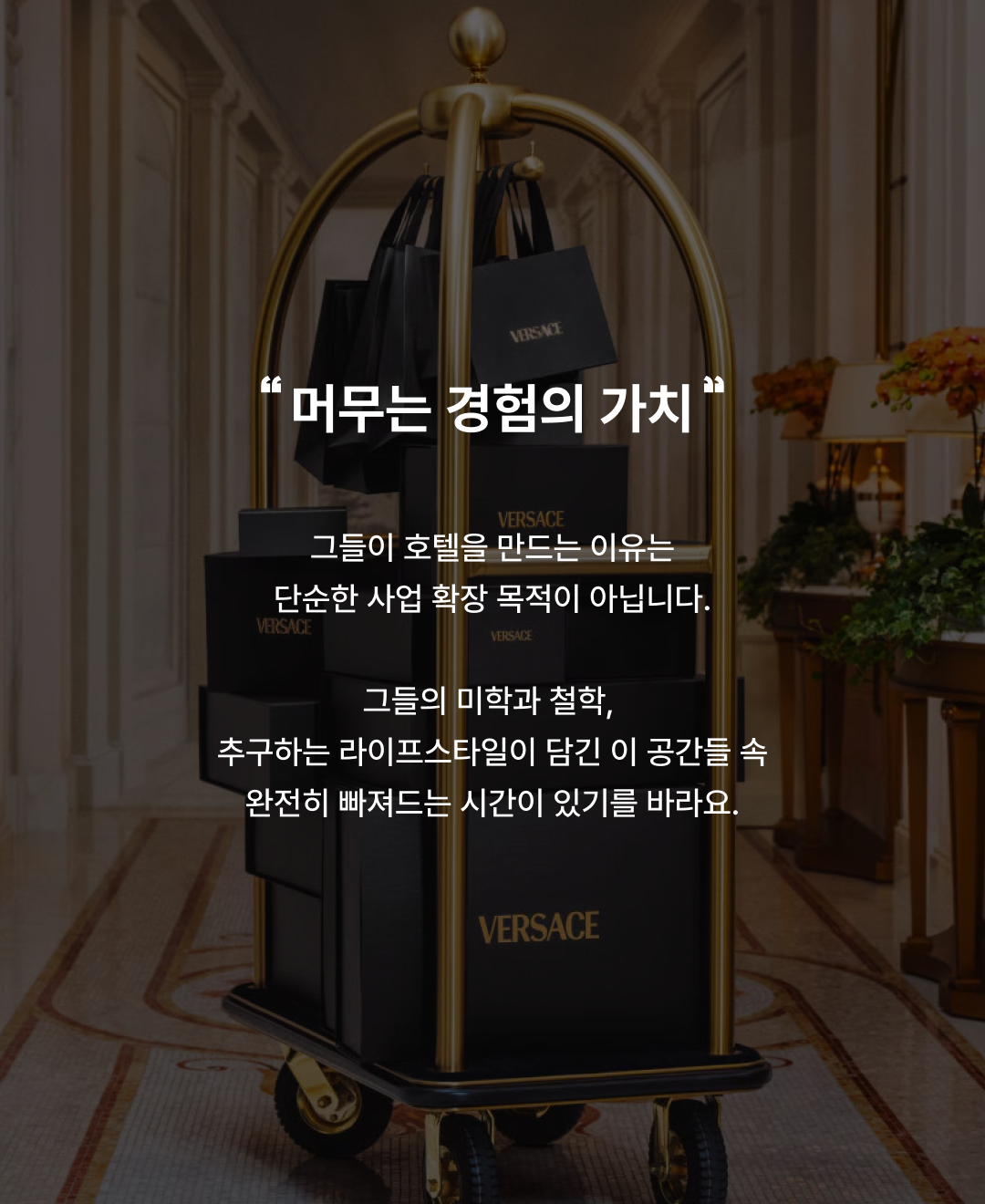 카지노 게임 사이트