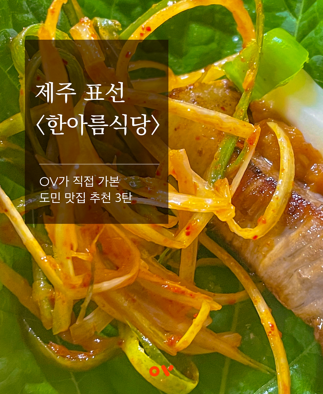 OV추천 도민맛집! <한아름식당>