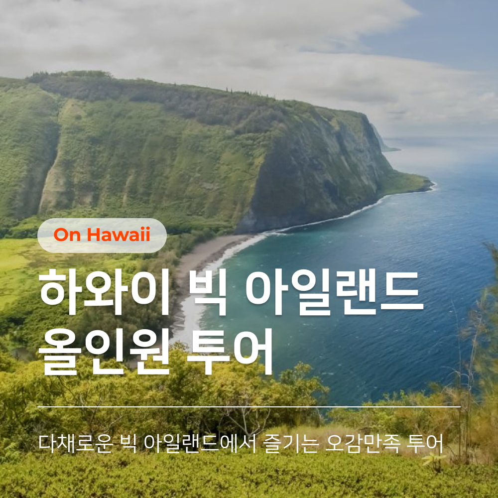 하와이 빅아일랜드 100% 즐기기, 올인원투어