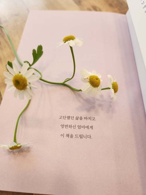 카지노 게임 추천