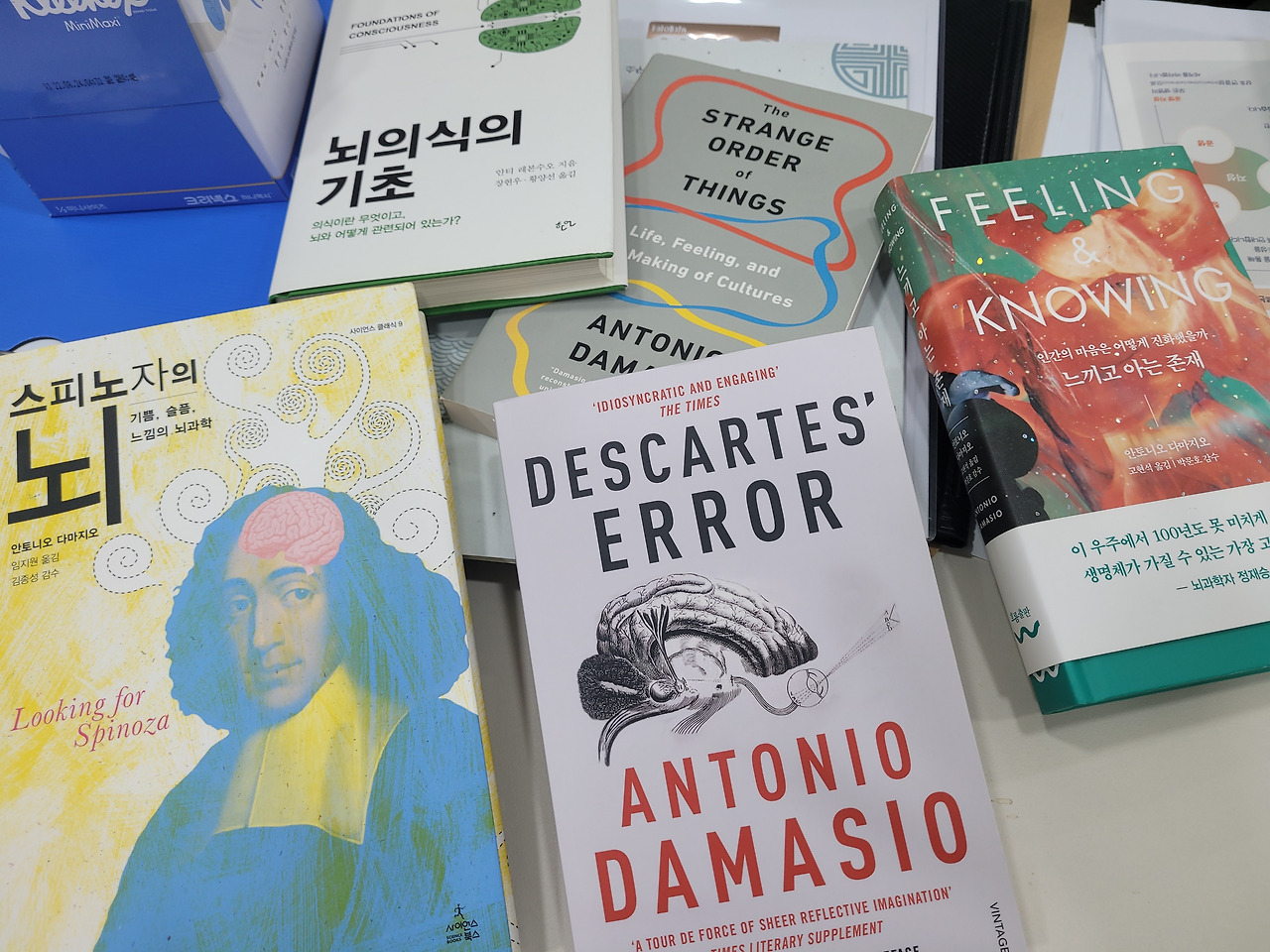 카지노 가입 쿠폰