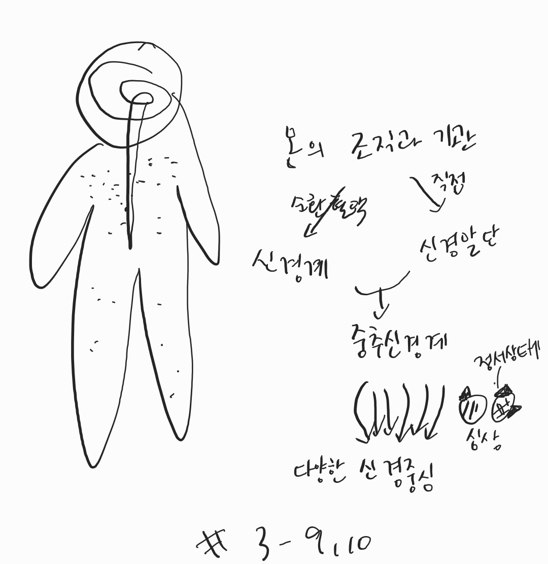 카지노 게임 추천
