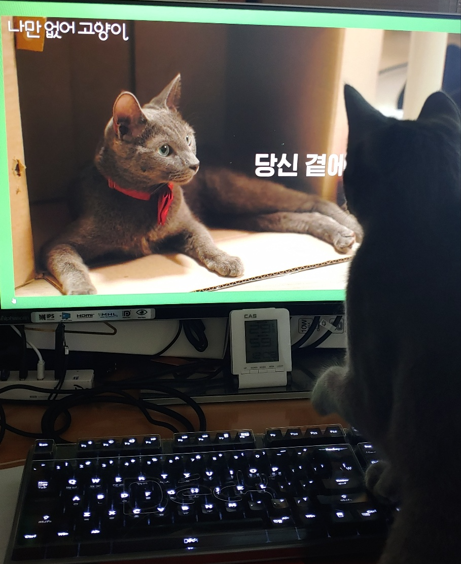 카지노 게임 추천