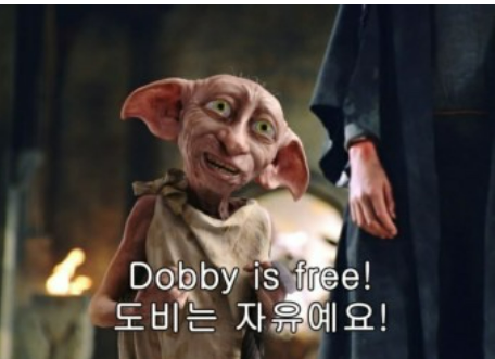 도비의선물 이미지