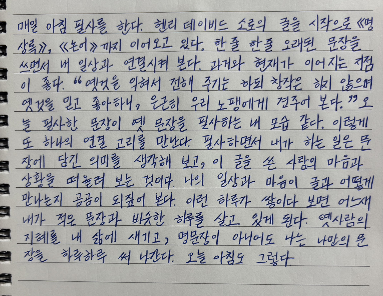 카지노 게임 추천