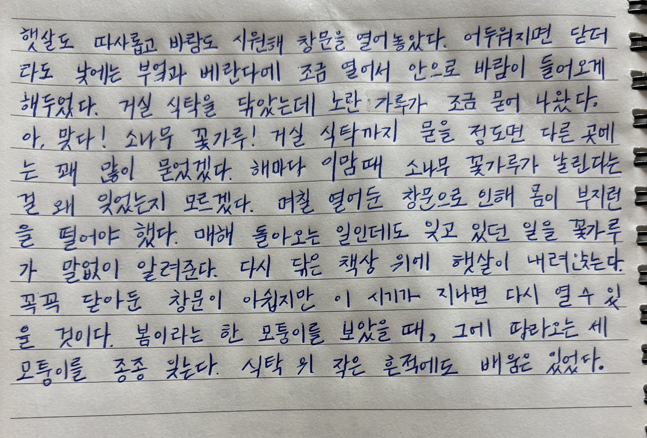 카지노 가입 쿠폰