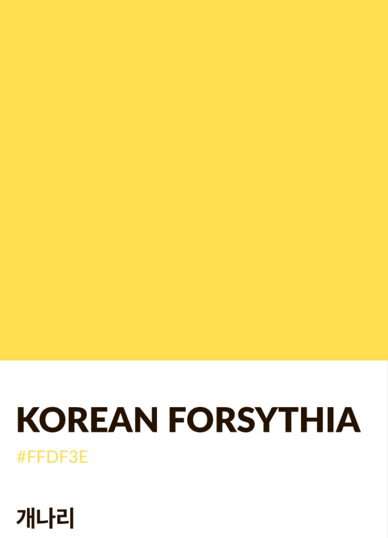 카지노 게임 추천