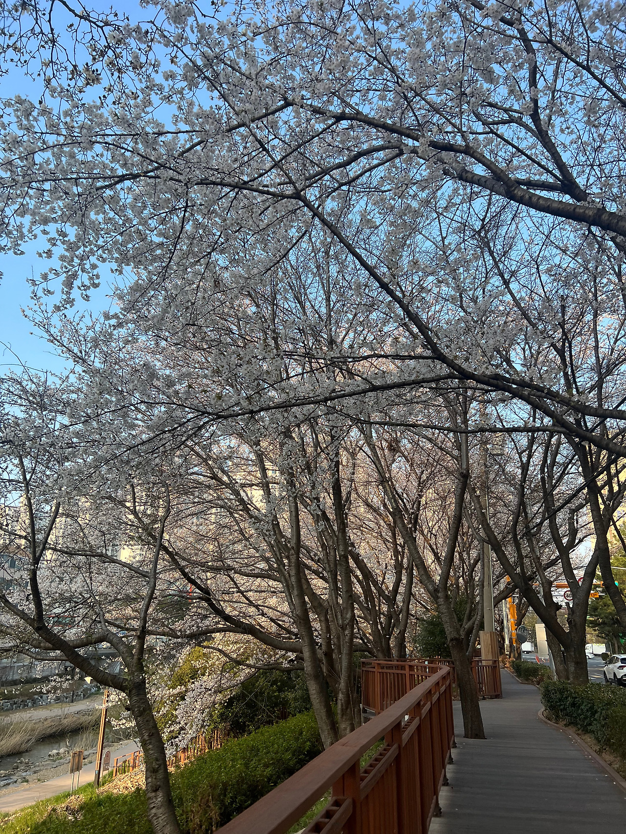 메이저카지노사이트