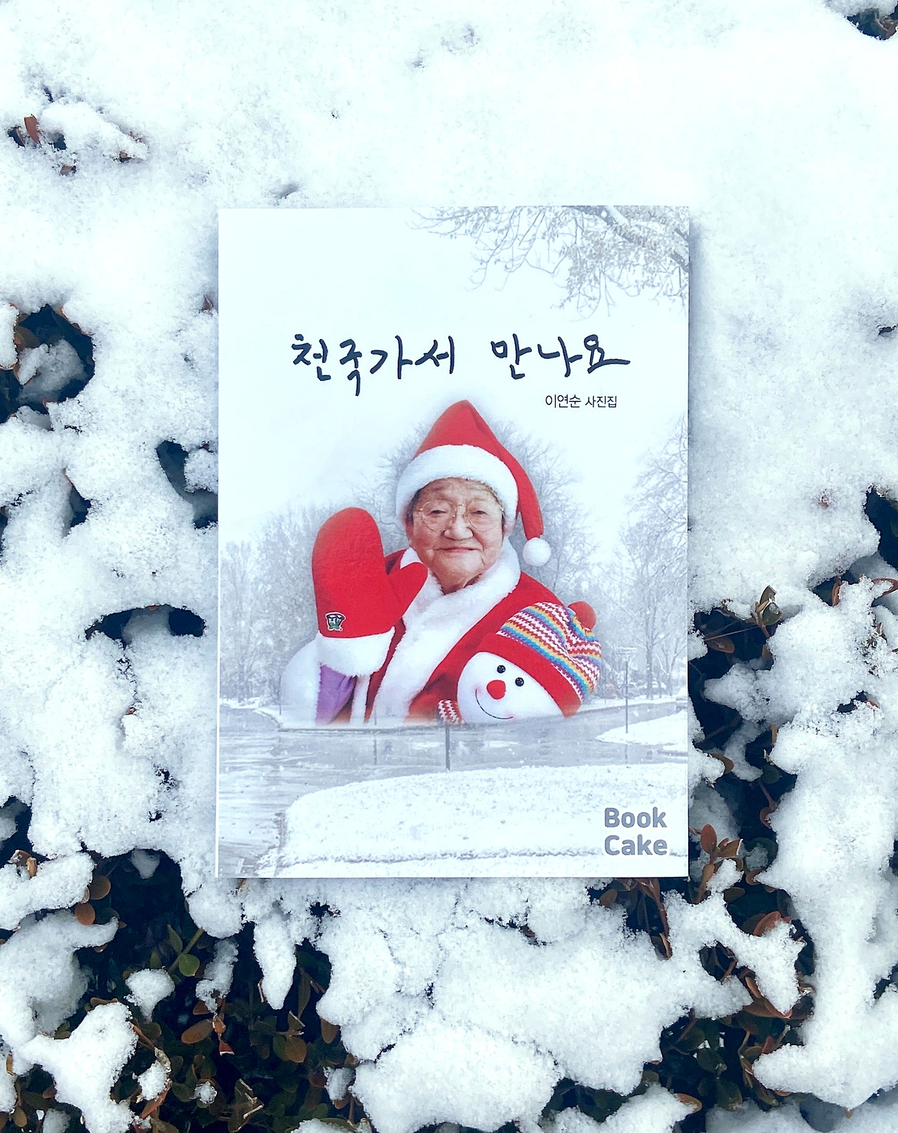 카지노 쿠폰