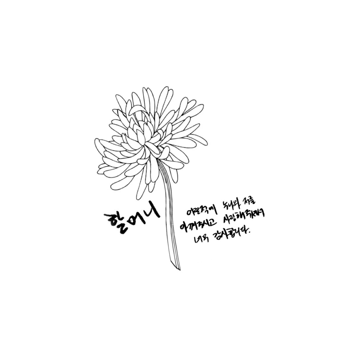 카지노 쿠폰