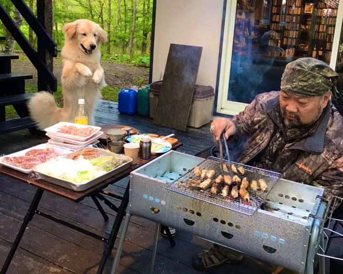한입 달라며 앞발 가지런히 모은 채 조르고 있는 댕댕이