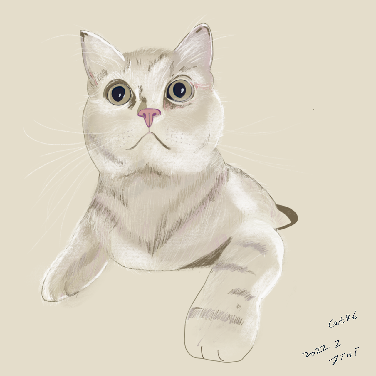 여섯번째 고양이