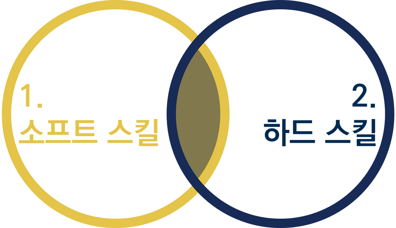 카지노 게임 추천