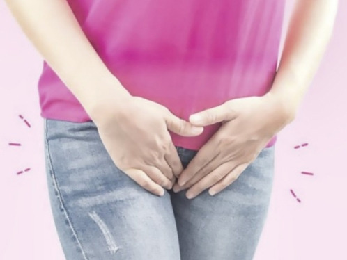 카지노 게임 사이트
