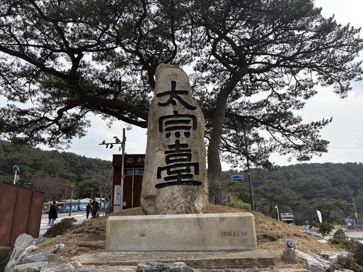 카지노 쿠폰