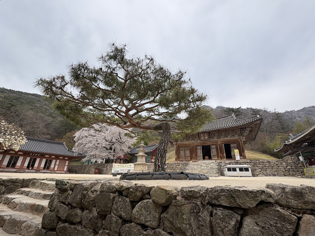 무료 카지노 게임