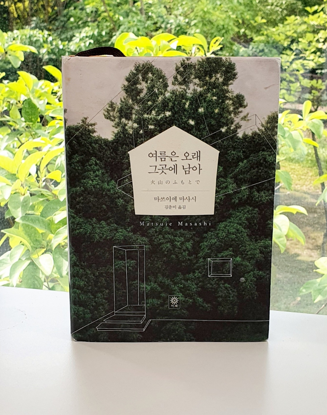 여름은 오래 그곳에 남았다. 