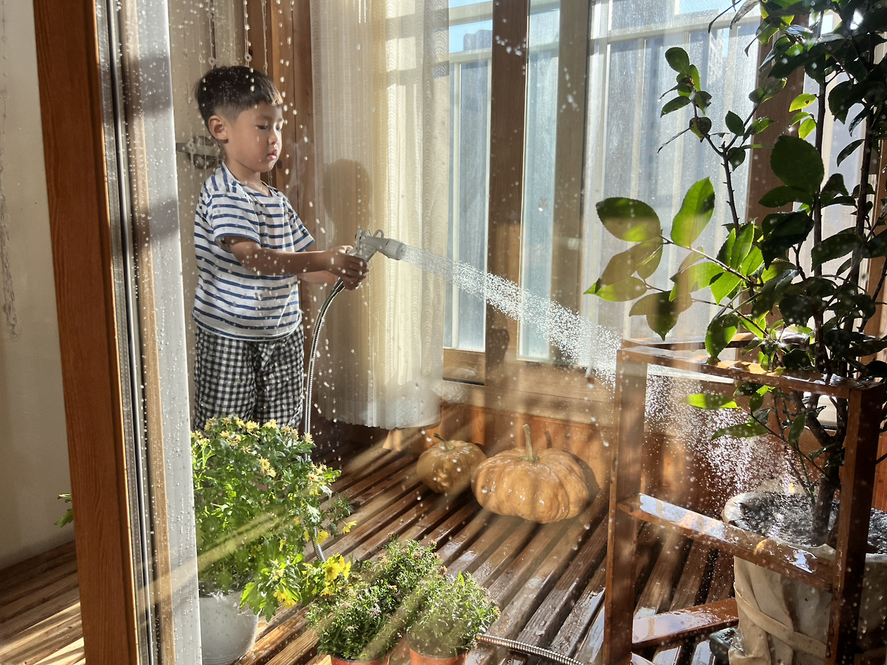 카지노 게임 사이트
