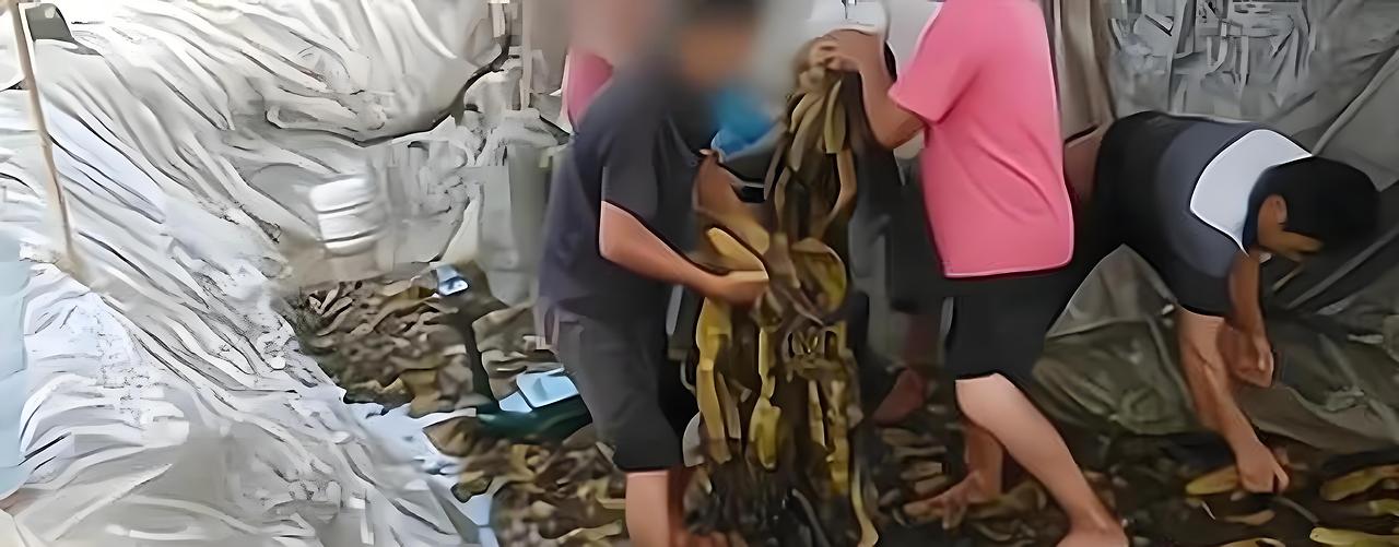 카지노 쿠폰
