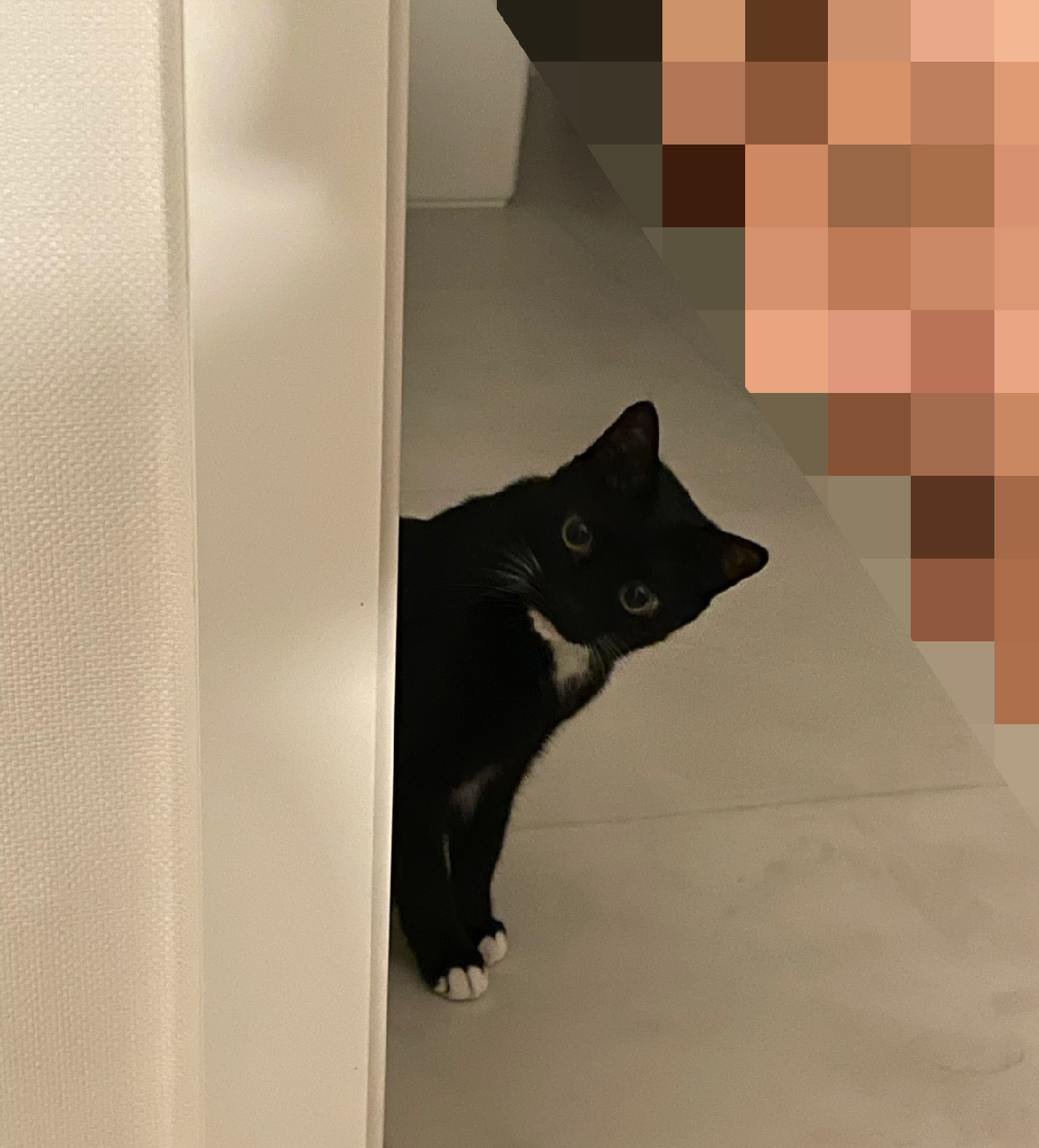 카지노 게임 사이트