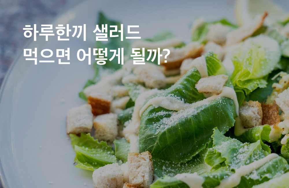 건강, 다이어트를 모두 챙기는 비결! 하루한끼 샐러드 건강, 다이어트를 모두 챙기는 비결! 하루한끼 샐러드 