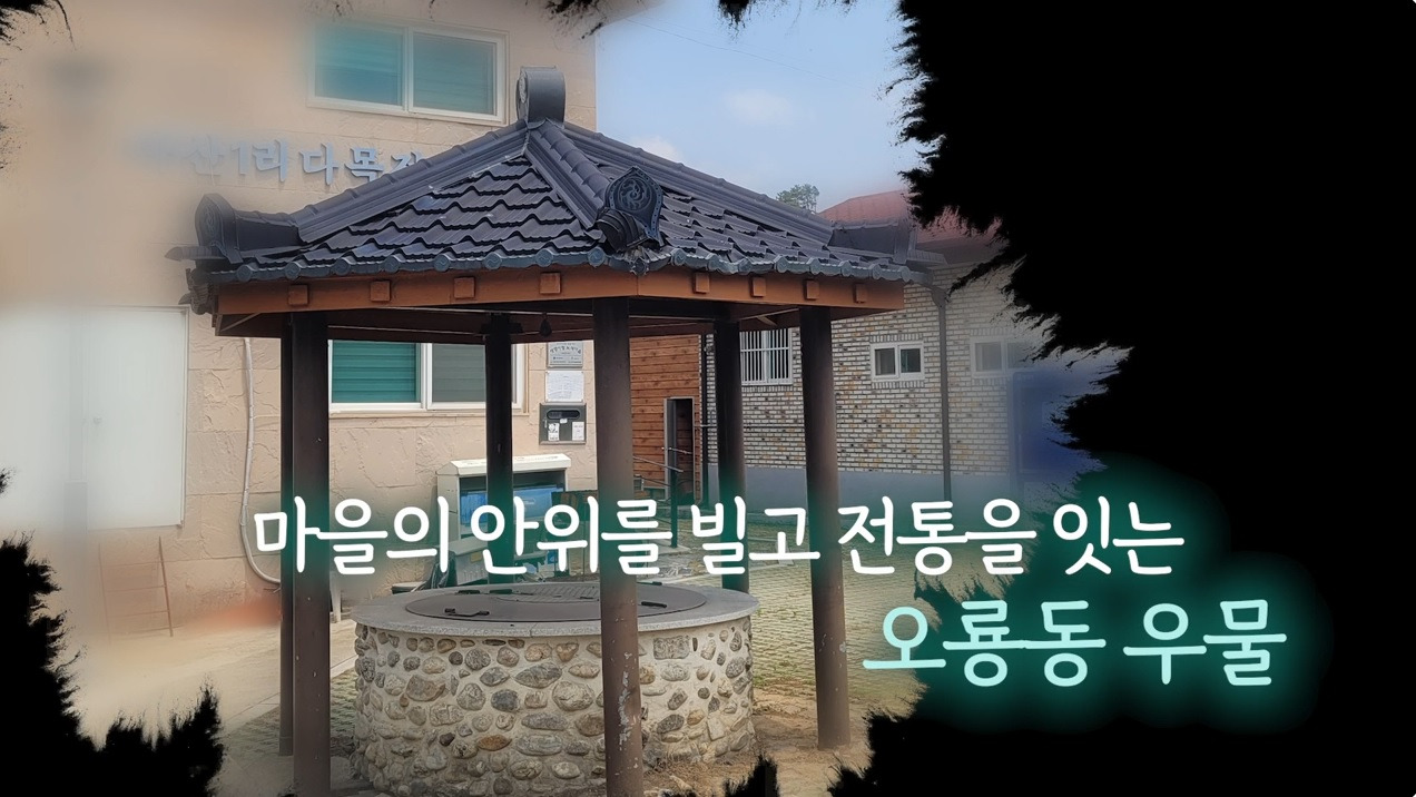 카지노 게임