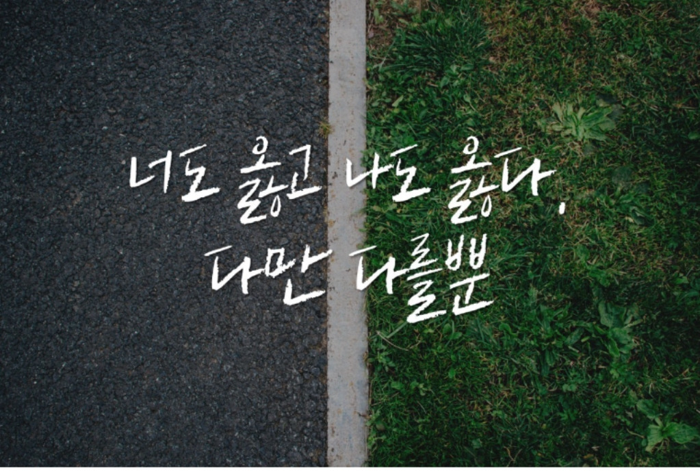 카지노 게임 추천