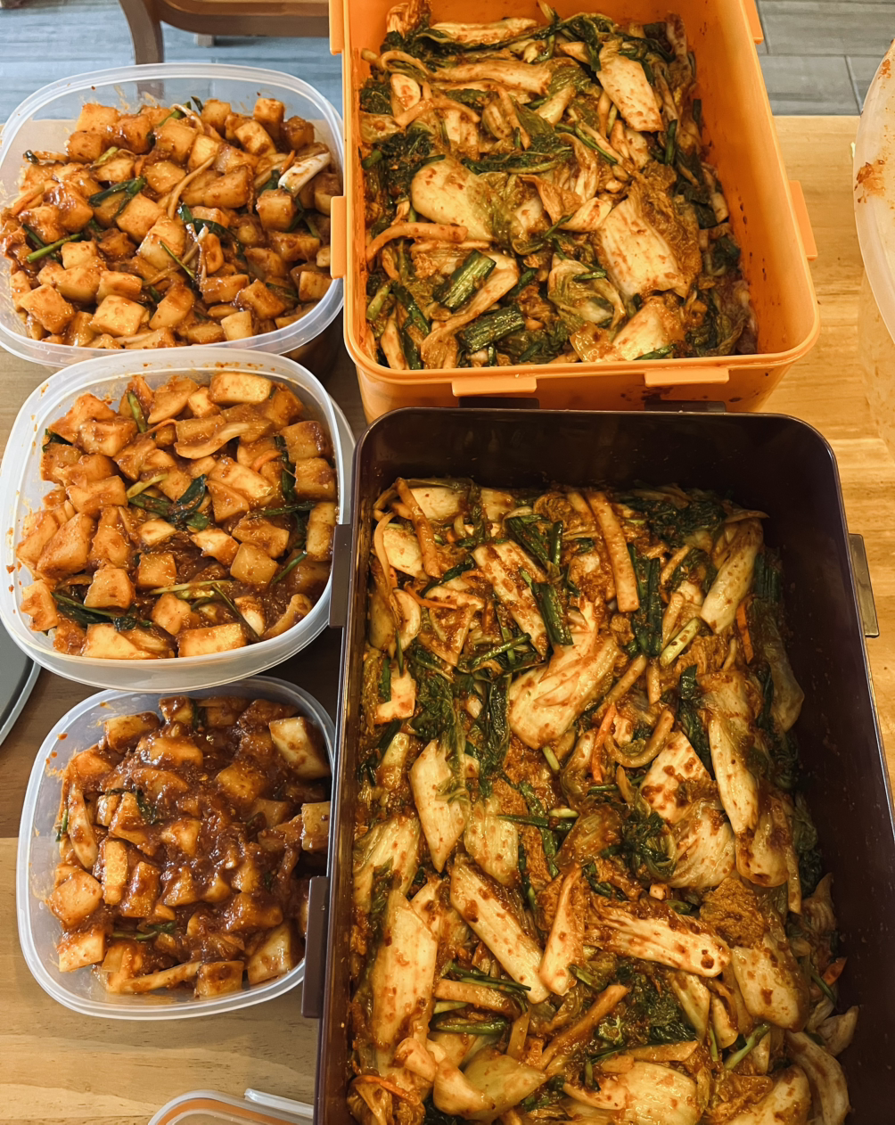 카지노 쿠폰