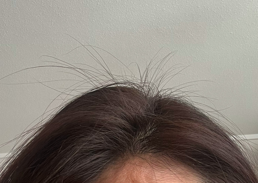 카지노 게임