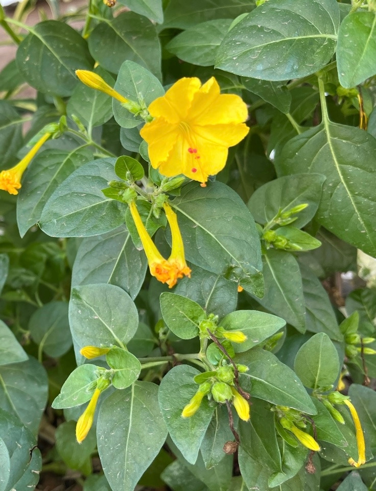 카지노 게임 사이트