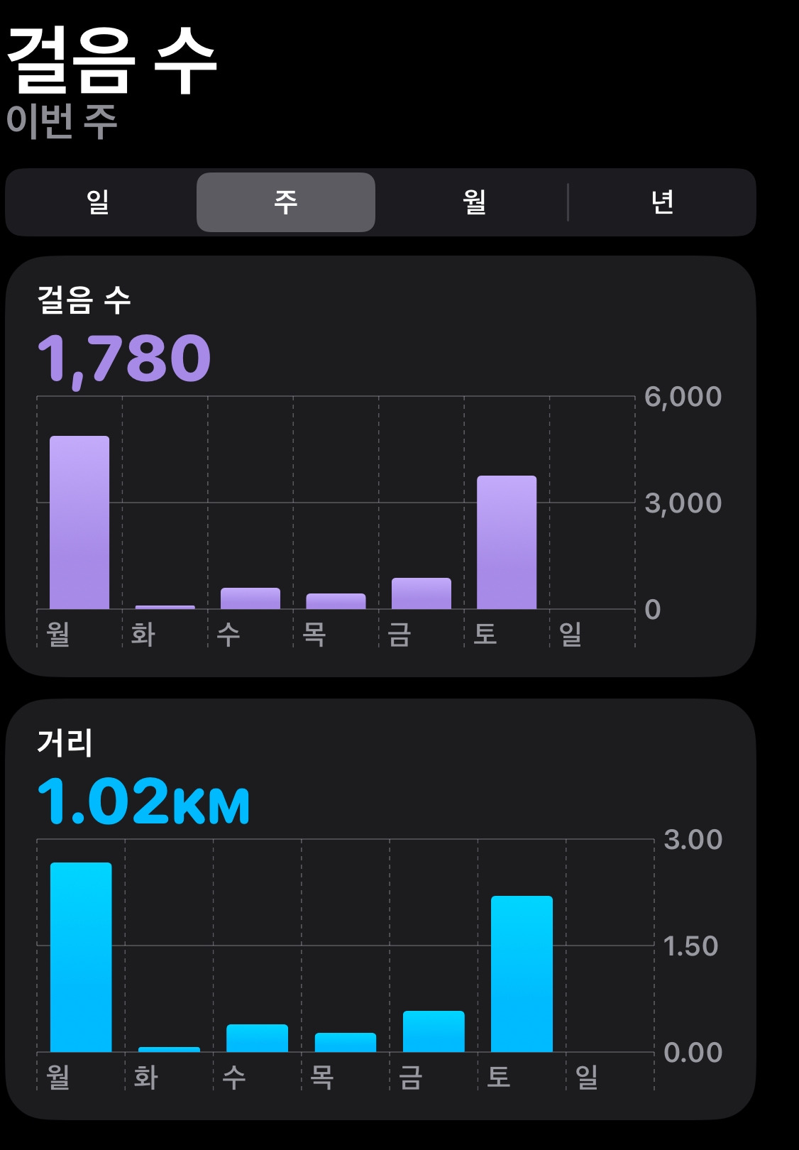 카지노 쿠폰