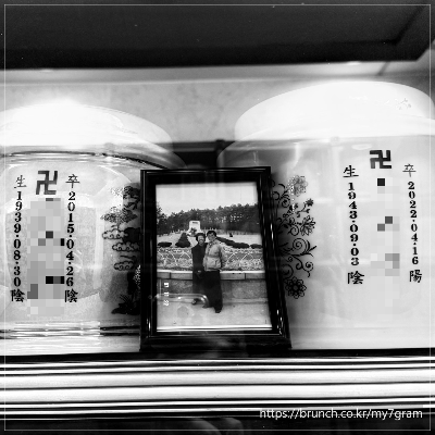 카지노 게임 사이트