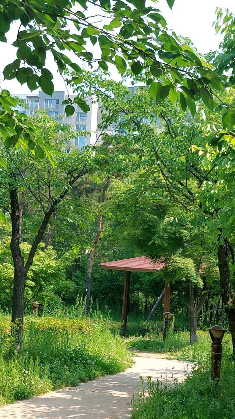 카지노 쿠폰