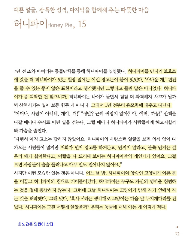온라인 카지노 게임
