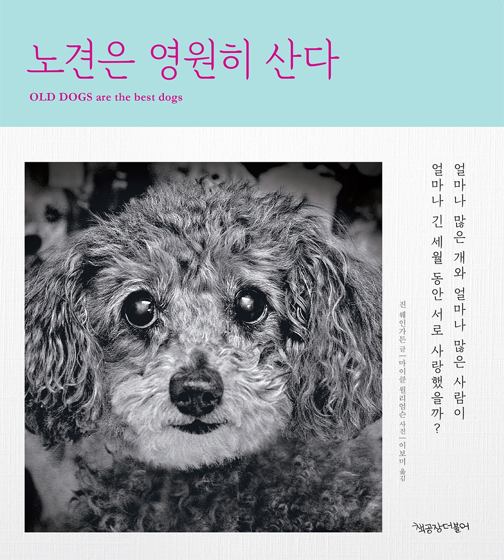 온라인 카지노 게임