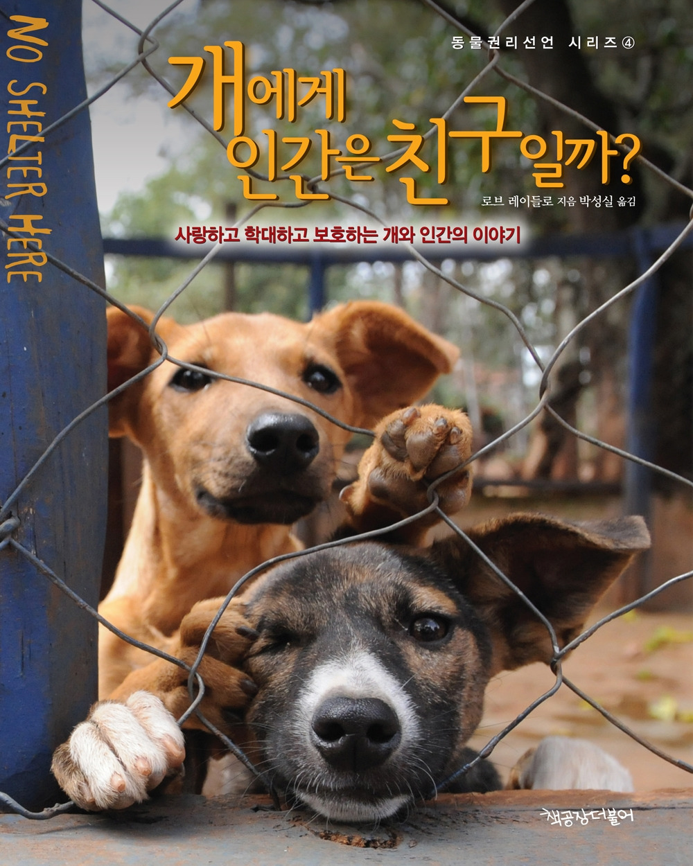 카지노 게임