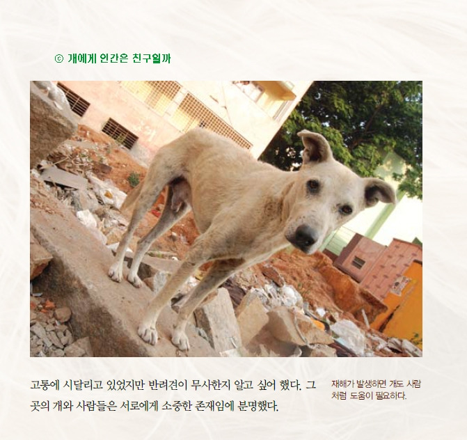 카지노 게임