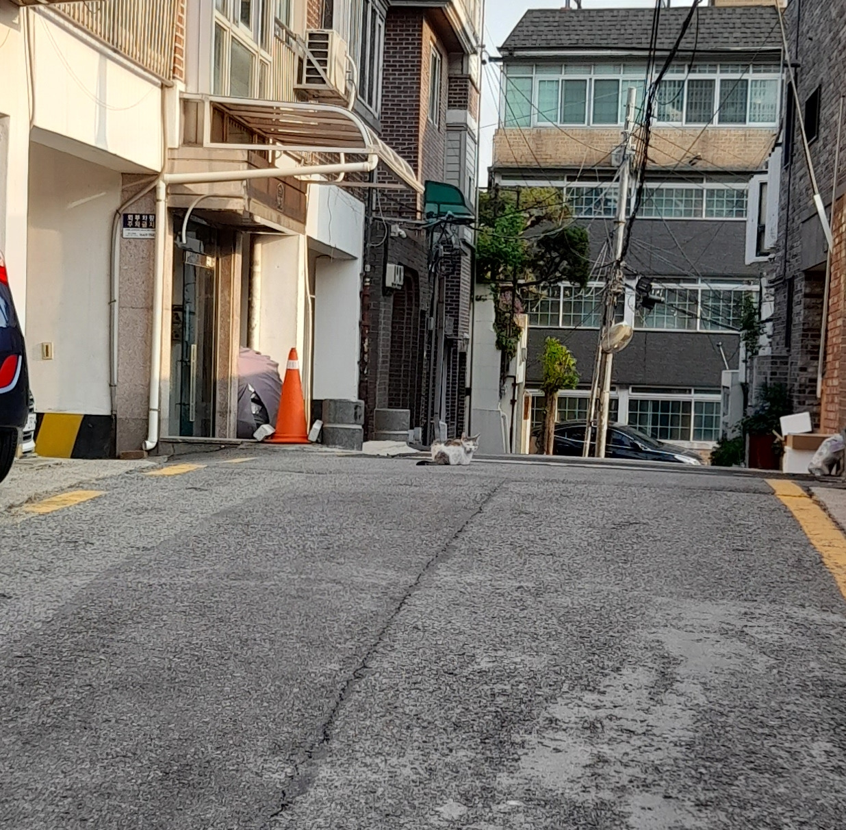 카지노 가입 쿠폰