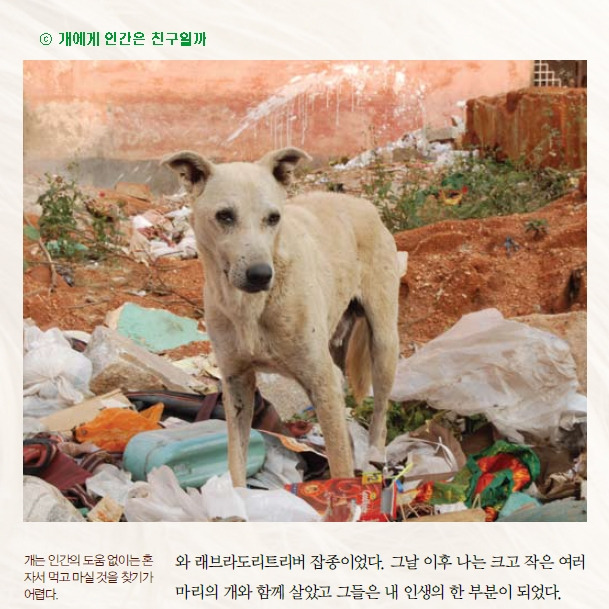 카지노 게임