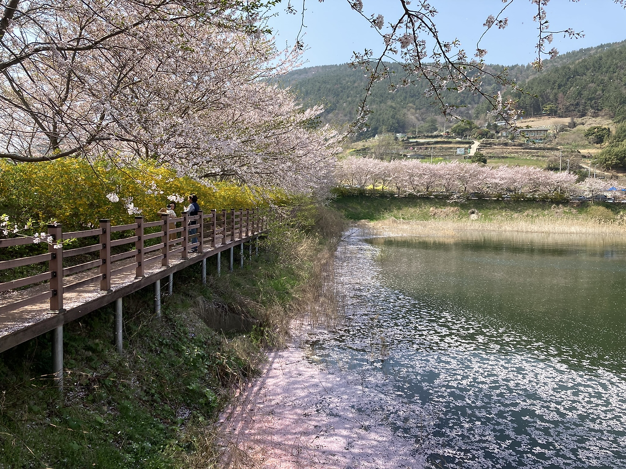 카지노 가입 쿠폰
